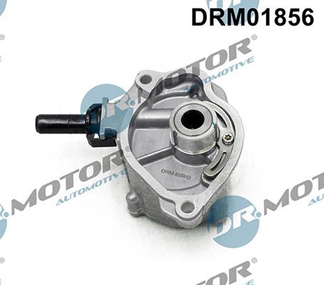 Lizarte DRM01856 - Vakuum pumpa, kočioni sistem www.molydon.hr