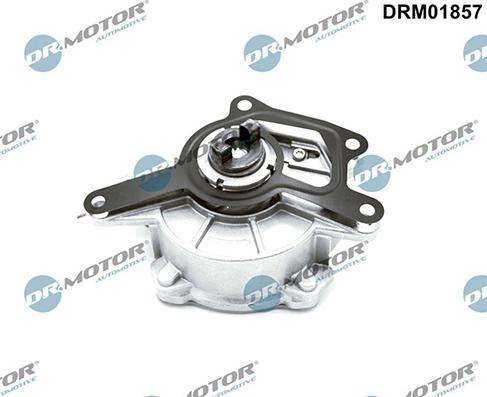 Lizarte DRM01857 - Vakuum pumpa, kočioni sistem www.molydon.hr