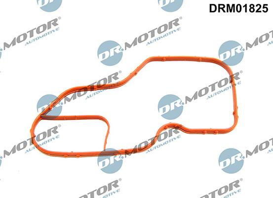 Lizarte DRM01825 - Brtva, Kučište termostata www.molydon.hr