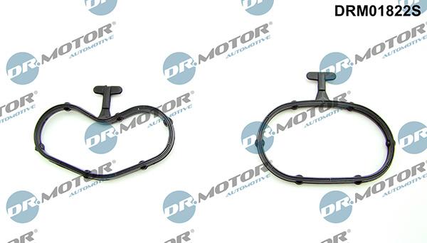 Lizarte DRM01822S - Garnitura brtvi, uljni hladnjak www.molydon.hr