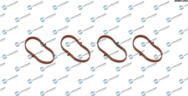 Lizarte DRM01340S - Garnitura brtvi, usisna grana www.molydon.hr
