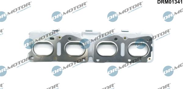 Lizarte DRM01341 - Brtva, Ispušna grana www.molydon.hr