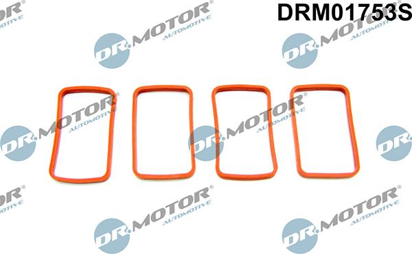 Lizarte DRM01753S - Garnitura brtvi, usisna grana www.molydon.hr