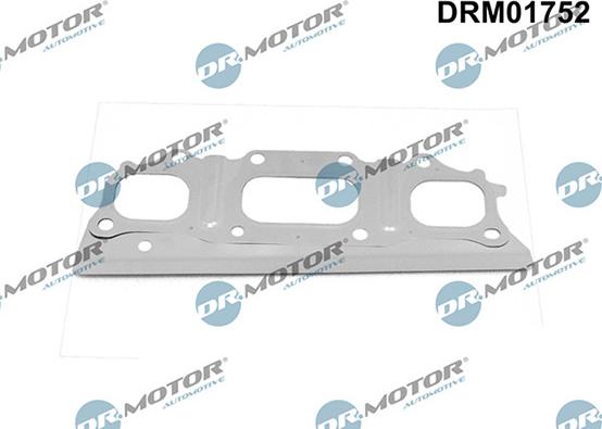 Lizarte DRM01752 - Brtva, Ispušna grana www.molydon.hr
