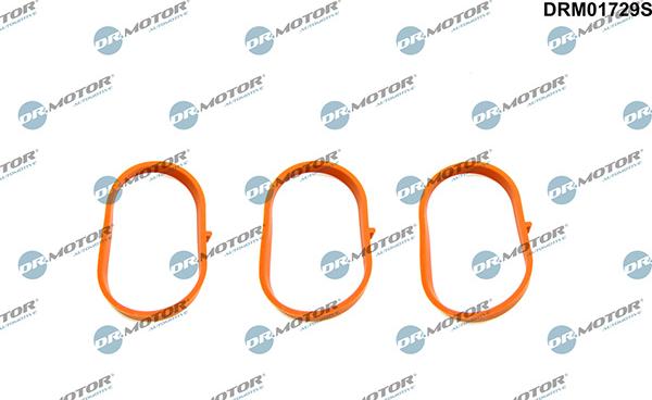 Lizarte DRM01729S - Garnitura brtvi, usisna grana www.molydon.hr