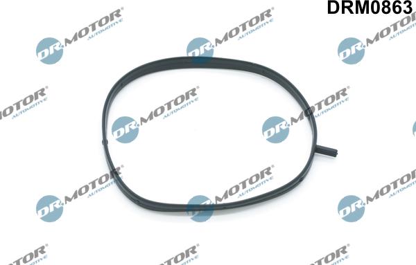 Lizarte DRM0863 - Brtva, Kučište usisne grane www.molydon.hr