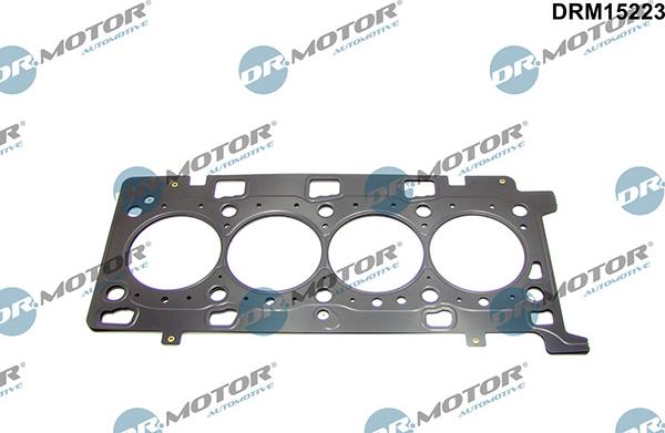 Lizarte DRM15223 - Brtva, glava cilindra www.molydon.hr