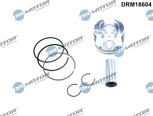 Lizarte DRM18604 - Klip www.molydon.hr