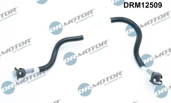 Lizarte DRM12509 - Crijevo, višak goriva www.molydon.hr