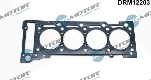 Lizarte DRM12203 - Brtva, glava cilindra www.molydon.hr