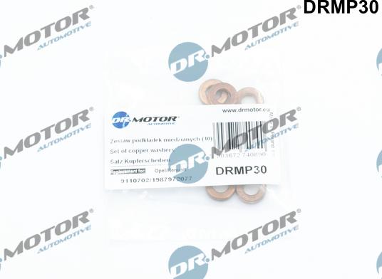 Lizarte DRMP30 - Garnitura brtvi, brizgaljka za ubrizgavanje www.molydon.hr