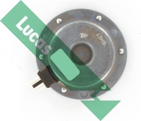 LUCAS SEB7795 - Lajtung ( cijev ) ventil, podešavanje bregastog vratila www.molydon.hr