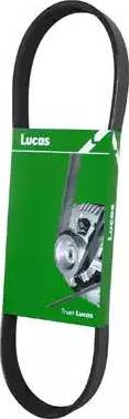 Lucas Engine Drive 3PK0813L - Klinasti rebrasti remen  www.molydon.hr