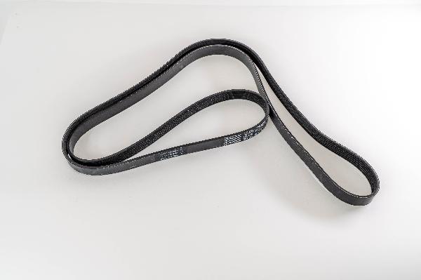 Magneti Marelli 294325 - Klinasti rebrasti remen  www.molydon.hr