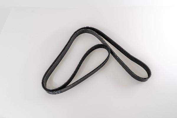 Magneti Marelli 293614 - Klinasti rebrasti remen  www.molydon.hr