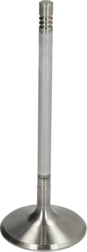 MAHLE 001 VE 31376 000 - Usisni ventil www.molydon.hr