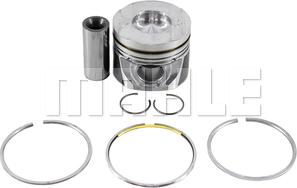 MAHLE S48880 - Klip www.molydon.hr