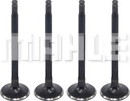 MAHLE VA0480233 - Usisni ventil www.molydon.hr