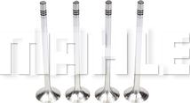 MAHLE VE0481564 - Ispušni ventil www.molydon.hr