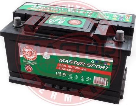 MASTER-SPORT 790807300 - Akumulator  www.molydon.hr