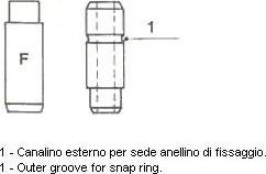 Metelli 01-2425 - Vod ventila www.molydon.hr