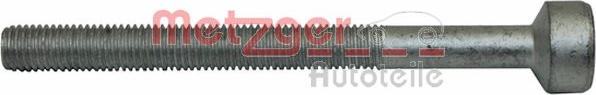Metzger 0870128S - Vijak, Držač injektori za ubrizgavanje www.molydon.hr