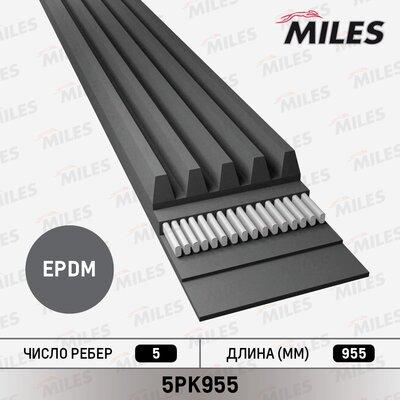 Miles 5PK955 - Klinasti rebrasti remen  www.molydon.hr
