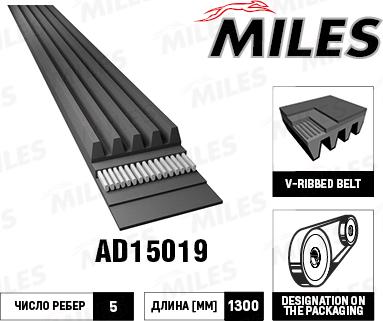 Miles AD15019 - Klinasti rebrasti remen  www.molydon.hr