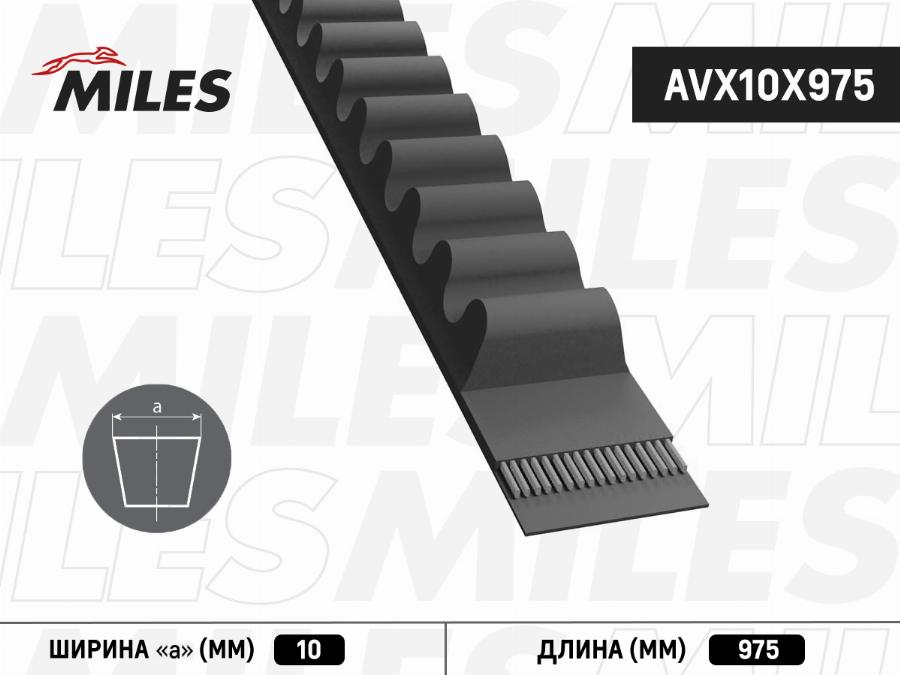 Miles AVX10X975 - Klinasti remen www.molydon.hr