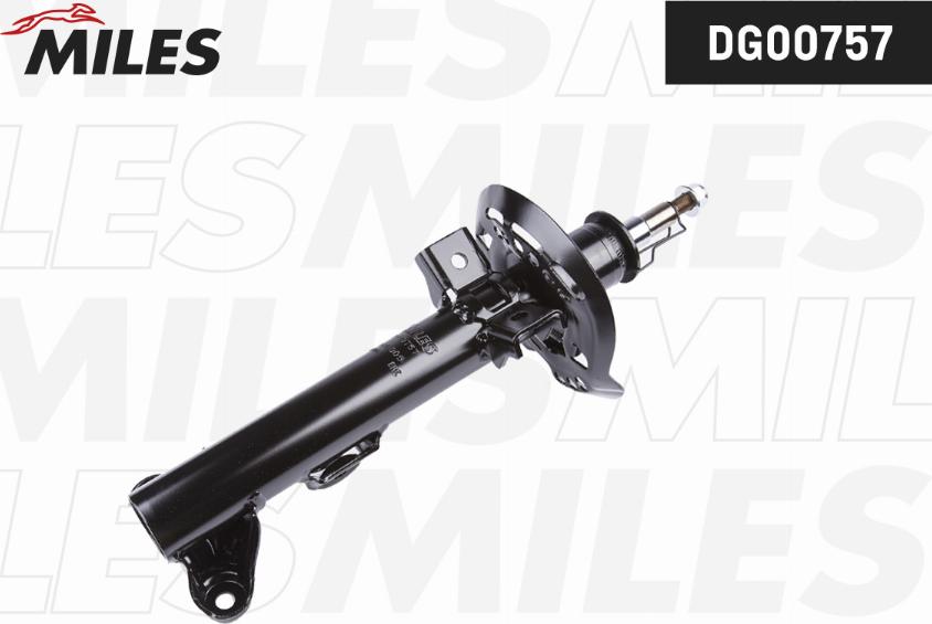 Miles DG00757 - Amortizer www.molydon.hr