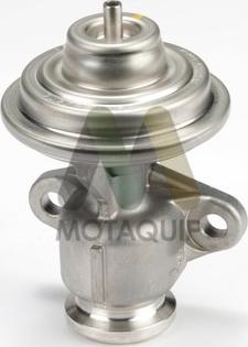 Motaquip LVER357 - EGR ventil www.molydon.hr