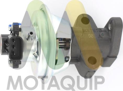 Motaquip LVER364 - EGR ventil www.molydon.hr