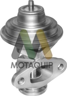Motaquip LVER268 - EGR ventil www.molydon.hr