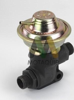 Motaquip LVER206 - EGR ventil www.molydon.hr
