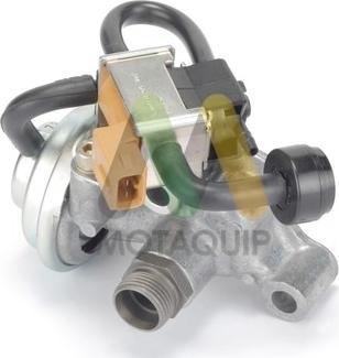 Motaquip LVER288 - EGR ventil www.molydon.hr