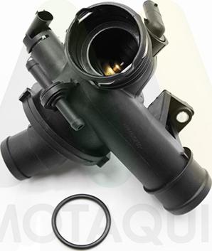 Motaquip LVTK244 - Termostat, rashladna tekućinu www.molydon.hr