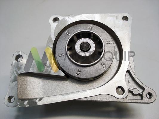 Motaquip LVWP985 - Vodena pumpa www.molydon.hr