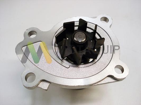 Motaquip LVWP1000 - Vodena pumpa www.molydon.hr