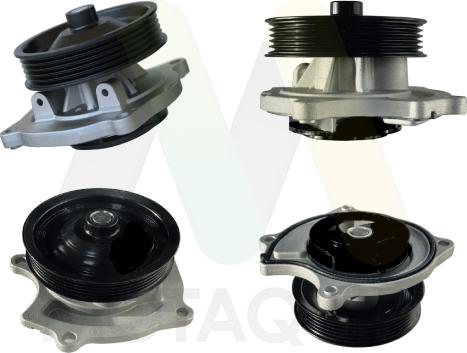 Motaquip LVWP1156 - Vodena pumpa www.molydon.hr