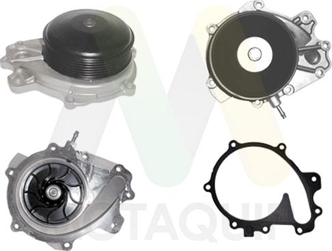 Motaquip LVWP1157 - Vodena pumpa www.molydon.hr
