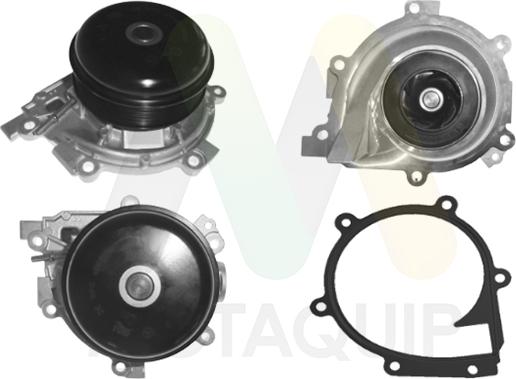 Motaquip LVWP1139 - Vodena pumpa www.molydon.hr