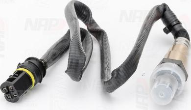 NAP CLS10134 - Lambda-sonda www.molydon.hr