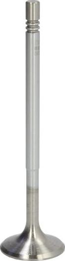 NE 147010000500 - Usisni ventil www.molydon.hr