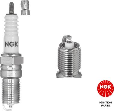 NGK 3812 - svjećica za paljenje www.molydon.hr