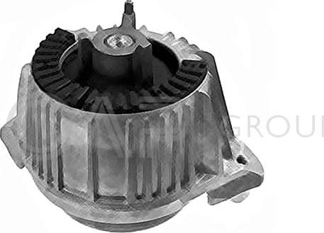 OCAP 1226231 - Nosač motora www.molydon.hr