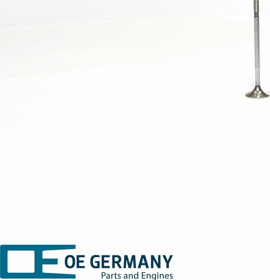 OE Germany 01 0520 654000 - Usisni ventil www.molydon.hr