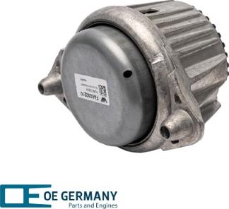 OE Germany 800869 - Nosač motora www.molydon.hr