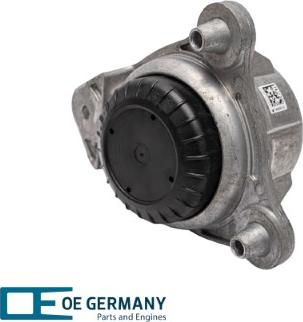 OE Germany 801165 - Nosač motora www.molydon.hr