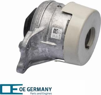 OE Germany 801163 - Nosač motora www.molydon.hr