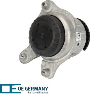 OE Germany 801180 - Nosač motora www.molydon.hr
